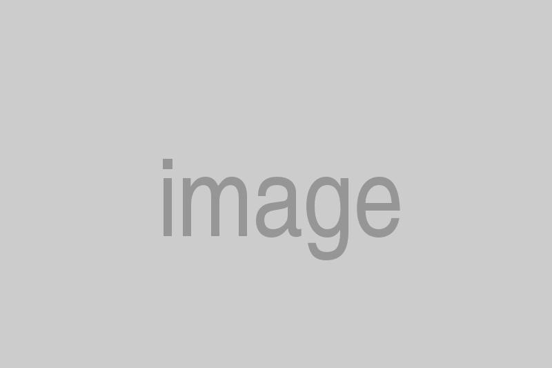 https://amblast.nl/aenean-pellentesque-leo-risus-sit-amet-2/